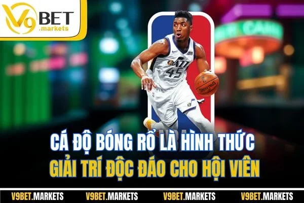 Cá độ bóng rổ là hình thức giải trí độc đáo cho hội viên