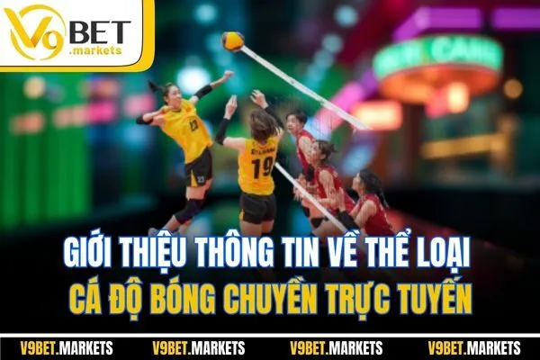 Giới thiệu thông tin về thể loại cá độ bóng chuyền trực tuyến