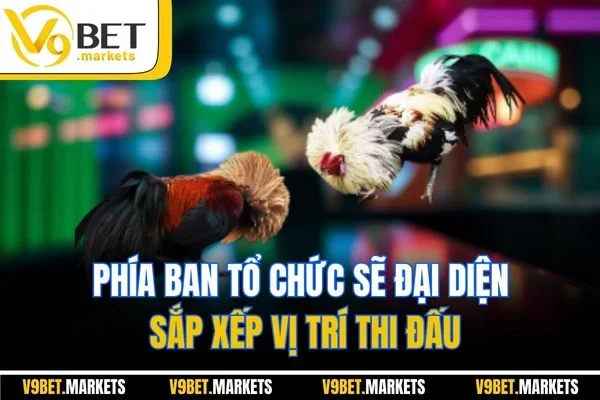 Phía ban tổ chức sẽ đại diện sắp xếp vị trí thi đấu